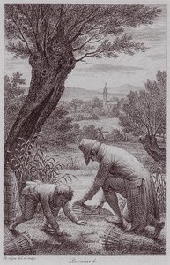 BernhardJHLipsi af Johann Heinrich Lips
