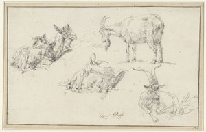 Studier af en ged af Johann Heinrich Roos (possibly)