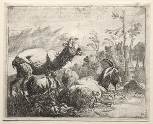 Geder, 1665. af Johann Heinrich Roos