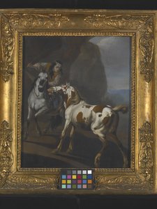 Indian Taming A Horse (olie på lærred) af Johann Heinrich Roos