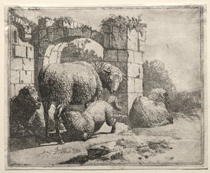 Får nær ruinerne af en bue, 1665. af Johann Heinrich Roos