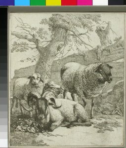 Ohne Titel af Johann Heinrich Roos