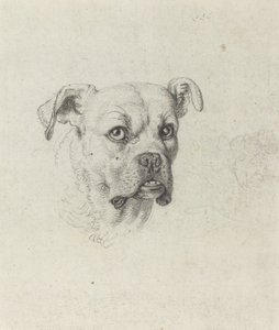 En bokser af Johann Heinrich Wilhelm Tischbein