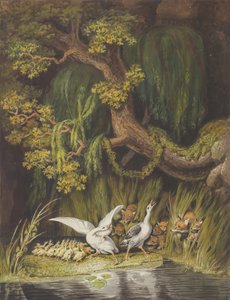 En gås og en gæs med deres gæslinger, der tuder i alarm som to ræve..., midten af det 18.-begyndelsen af det 19. århundrede. af Johann Heinrich Wilhelm Tischbein