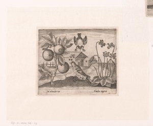 Serie af tryk med blomster og dyr i et landskab Landskab med citrusplanter, fugle og violer Landskaber med dyr, planter og blomster (serietitel)