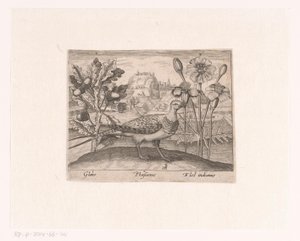 Serie af tryk med blomster og dyr i et landskab Landskab med eg, fasan og krysantemum Landskaber med dyr, planter og blomster (serietitel)