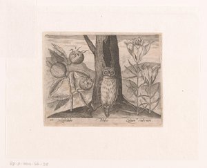 Serie af tryk med blomster og dyr i et landskab Landskab med mispel, lilje og ugle Landskaber med dyr, planter og blomster (serietitel)