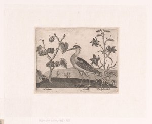 Serie af tryk med blomster og dyr i et landskab Landskab med hejre og lærkespore Landskaber med dyr, planter og blomster (serietitel)