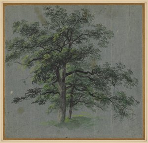 To træer (recto) af Johann Jacob Dorner