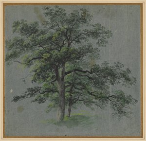 Two Trees recto Tree Studies verso, første halvdel af 1800-tallet. af Johann Jacob Dorner