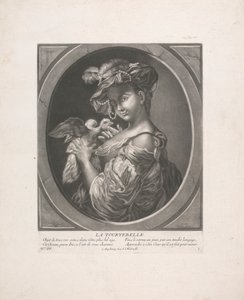 Duen af Johann Jacobus Haid