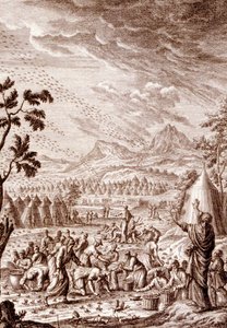 Hebræere, der kæmper mod en græshoppeplag af Johann Jakob Scheuchzer