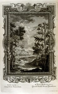 Illustration af Johann Jakob Scheuchzer