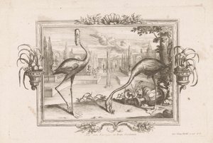 Twee flamingoer Aves dicta Flaminges ex India Occidentali (titel på objekt) af Johann Jakob Stelzer