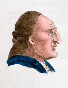 Ansigtskarakteristika af en brændende, lidenskabelig tempereret person, 1808