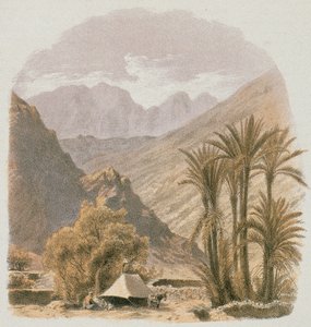 Sinai. Etching by Bernatz et alii - Steinkopk J.F. Editore af Johann Martin Bernatz