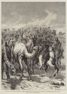 Krigen i Soudan, fangst af tre hundrede kameler af generalmajor Sartorius i en rekognoscering fra Souakim af Johann Nepomuk Schonberg