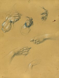 Den manuelle undersøgelse af Johann Peter Krafft