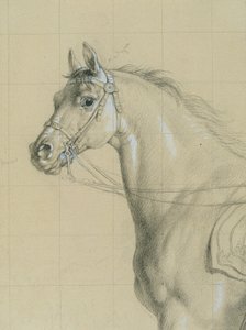 Hestestudie for "Ærkehertug Karl med sin stab i slaget ved Aspern" af Johann Peter Krafft