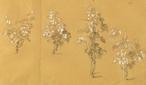 Weinstock, Studie for "Hermann og Dorothea i vingården" af Johann Peter Krafft