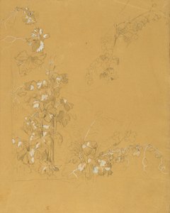 Weinstock, Studie for "Hermann og Dorothea i vingården" af Johann Peter Krafft