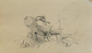 Rodsystem, væltet træ af Johann Peter Krafft