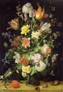 Stilleben med blomster og blåmejse
