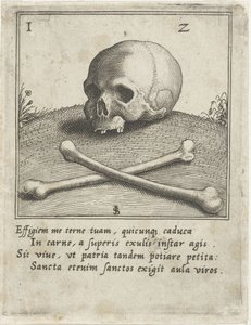 Vanitas Afbildning med et kranie og to knogler
