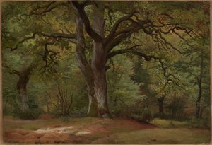 Egeskov i Solling af Johann Wilhelm Schirmer