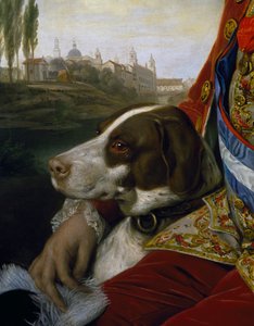 Hund, detalje fra portræt af Ferdinand af Bourbon, hertug af Parma