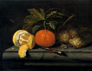 Frugter på en borddækning af sten, c1653-1659 af Johannes Borman
