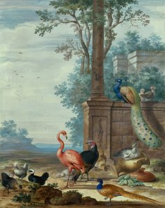 Et italiensk landskab med en påfugl, fasan, flamingo og andre fugle (gouache) af Johannes Bronckhorst