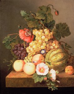 Stilleben med frugt