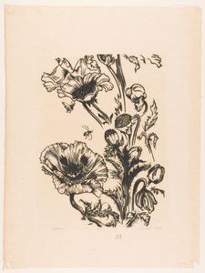 Studie papavers (original titel på objekt) af Johannes Frederik Engelbert ten Klooster (signed by artist)