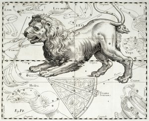 Løven, stjernebilledet Løve, illustration taget fra Johann Hevelius