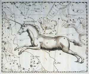 Monoceros, enhjørningens stjernebillede, gravering fra det himmelske atlas Firmamentum Sobiescianum sive Uronographia, af Johann Hevelius (1611-1687), Gdansk