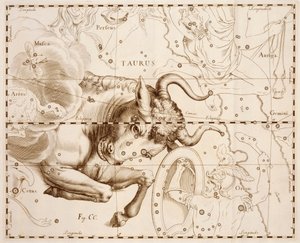 Tyren (stjernetegn), gravering fra Firmamentum Sobiescianum sive Uranographia, Komplet stjernekatalog, af Johann Hevelius (1611-1687), trykt i Gdansk