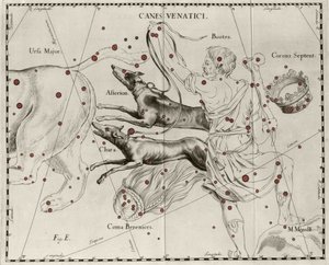 Stjernebilledet Canes Venatici, Jagthunde. Tallerken tegnet fra "" Firmamentum Sobiescanum sive Uranographia"" af Johannes Hevelius eller Hevel (1611-1687) af Johannes Hevelius