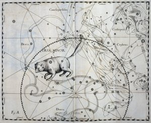 Ursa Minor, Boreal konstellation af Ursa Minor, gravering fra himmelatlas Firmamentum Sobiescianum sive Uronographia, af Johann Hevelius (1611-1687), Gdansk af Johannes Hevelius