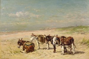 Æsler på stranden
