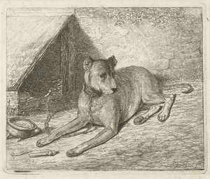 Hund på en kæde ved et hundehus