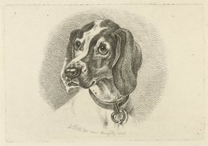 Hundehoved med halsbånd med ring