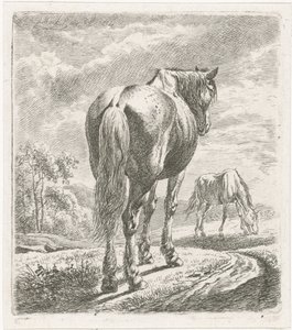 Hest set bagfra