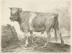 Stier af Johannes Mock