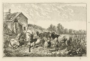 Fire geder og et får ved et hus af Johannes Mock