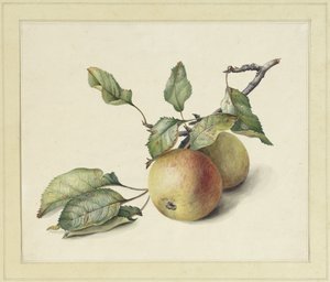 To æbler på en gren af Johannes Reekers (II)