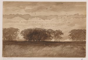 Rookery i Nordbrabant