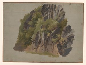 Klipper og vegetation af Johannes Tavenraat