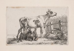 En hvilende og en stående ko af Johannes Wilhelm Zillen