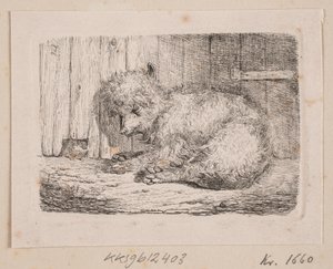 En langhåret hund af Johannes Wilhelm Zillen